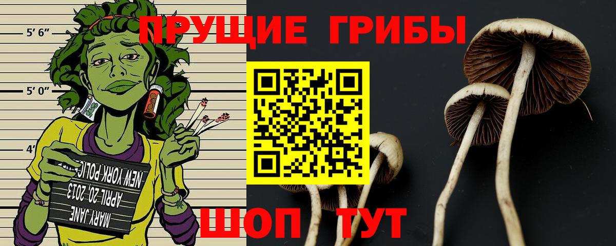 Псилоцибиновые грибы Psilocybine cubensis  Вход с VPN  Еманжелинск 